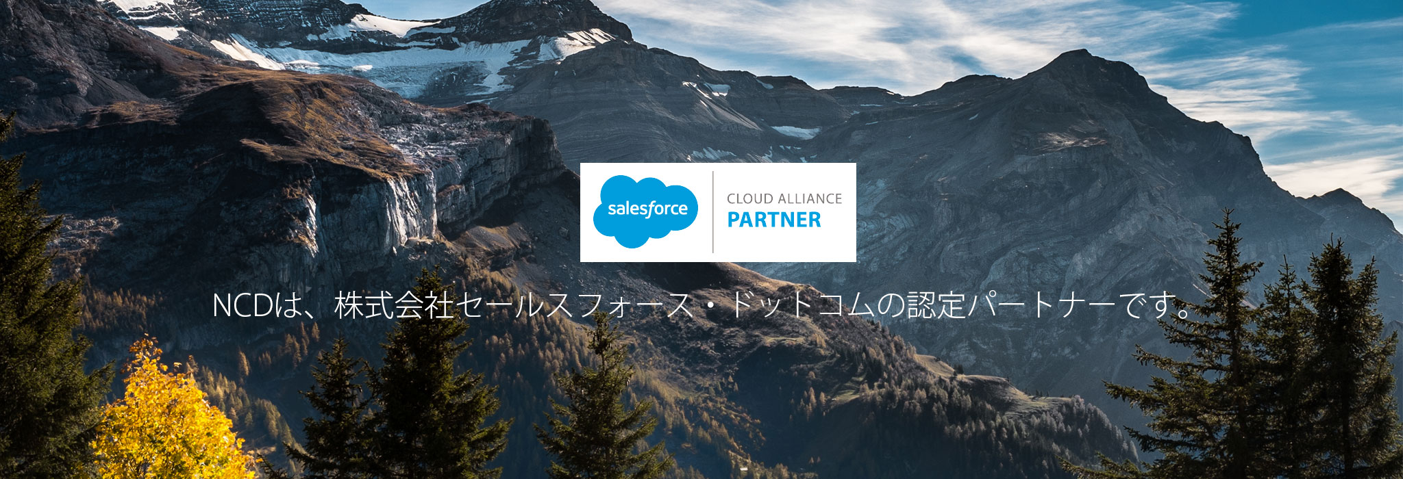 CLOUD ALLIENCE PARTNER