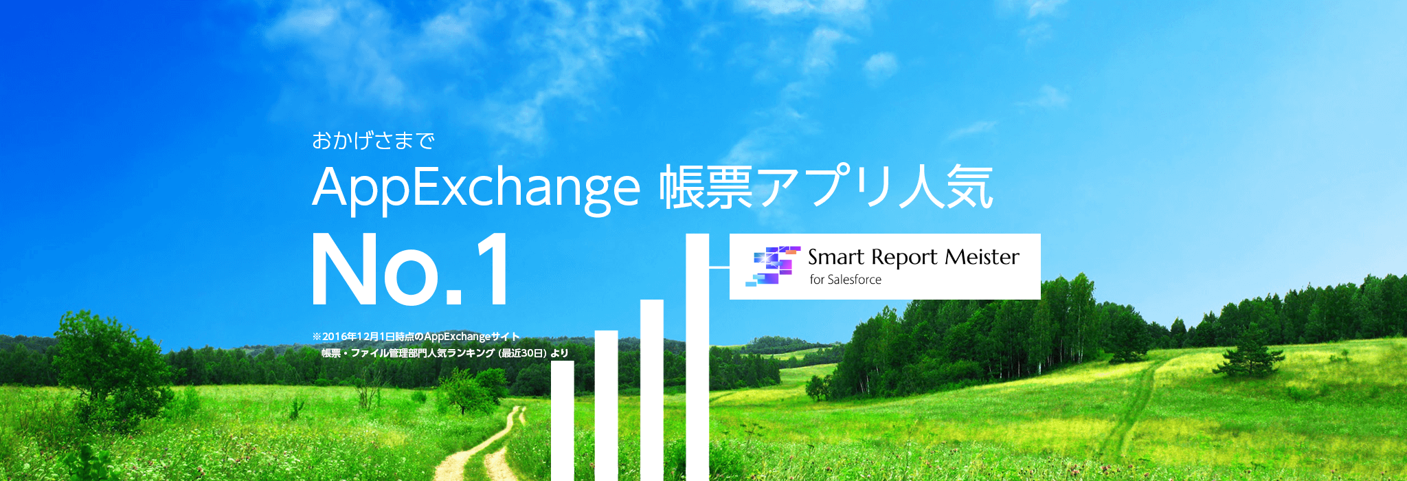 Smart Report Meister