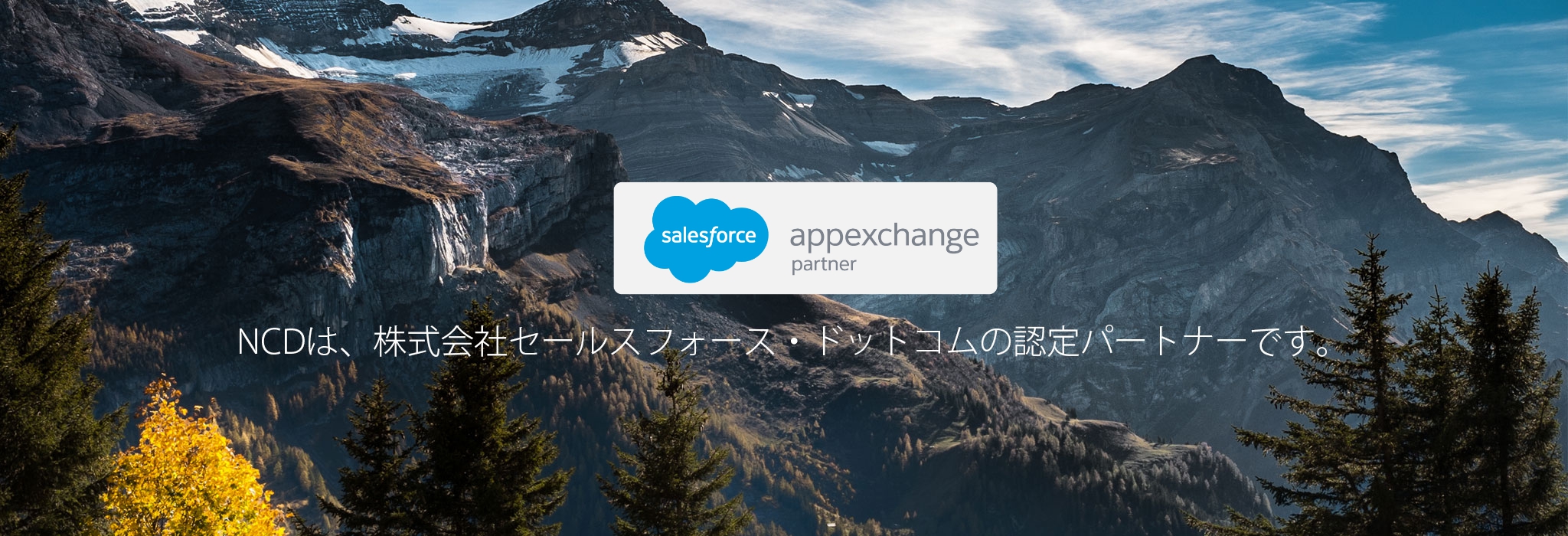 appexchange partner