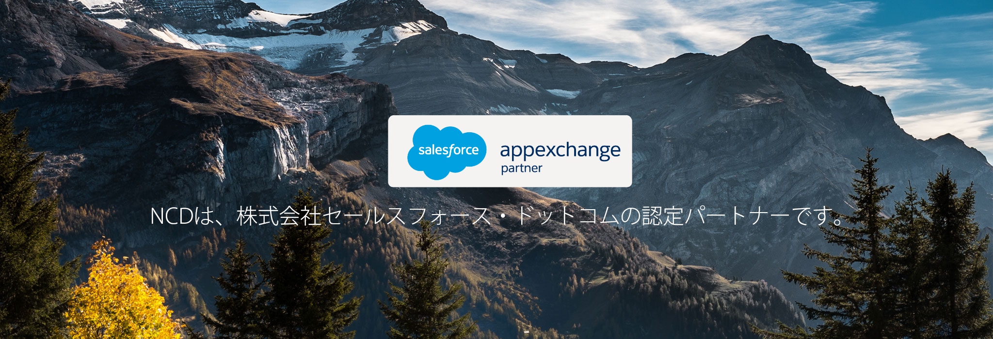 appexchange partner