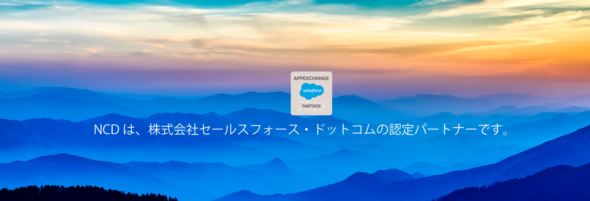 appexchange partner